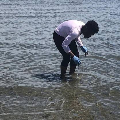 Timilehin Oluwole ’24, ’25 M.S. gathers seaweed samples for her research.