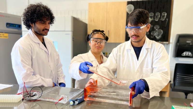 Aravinda Pentela, Anais Gardere and Sagar Bhatta, Dr. Kloc’s students, conducting biological research. The grants will create exciting opportunities for such students.