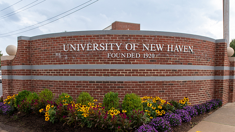 The University of New Haven’s main campus