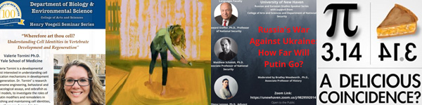 Collage of event posters