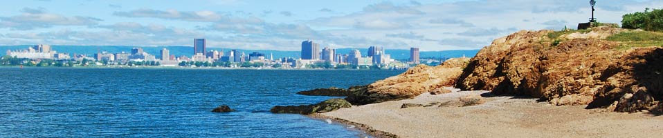 view of New Haven skyline from a beach