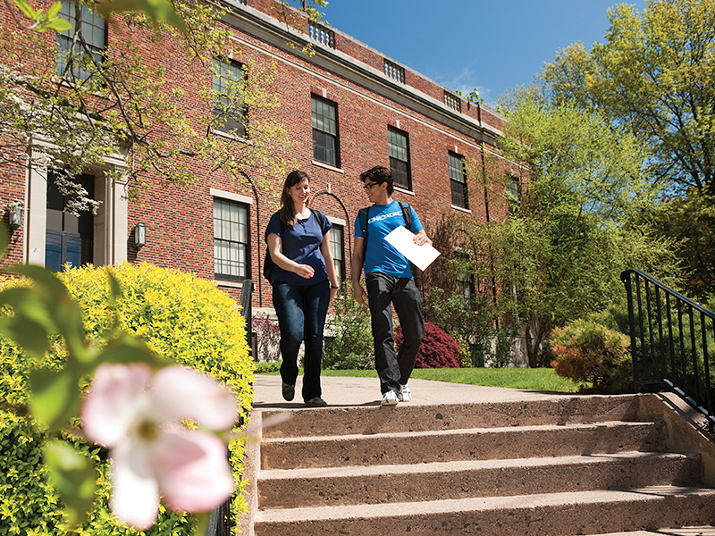 Admissions University of New Haven