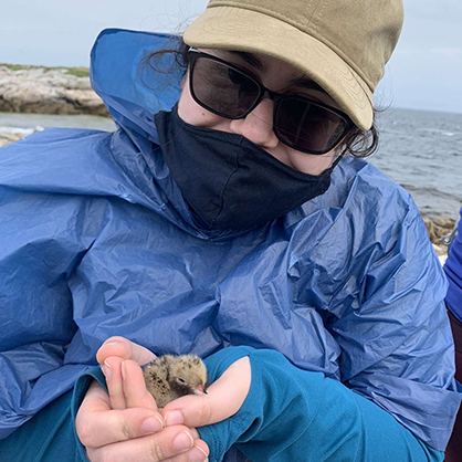 Jennifer Vela ’23 holding a common tern chick during her trip to White Island as part of her anatomy and function of marine vertebrates course.