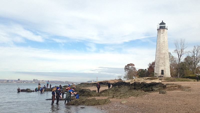 University of New Haven students at Lighthouse Point Park in New Haven as part of a class.