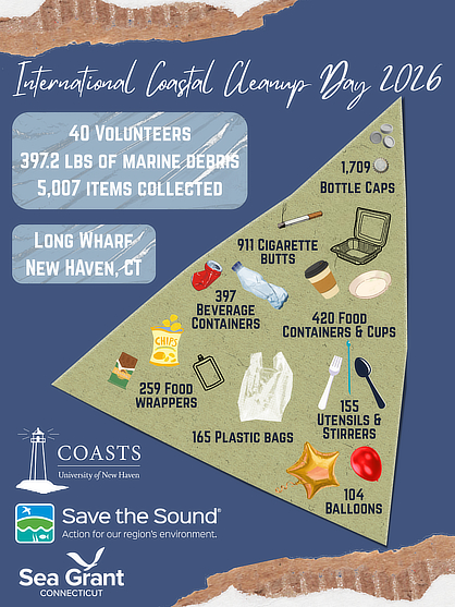 International Clean-Up Day flyer