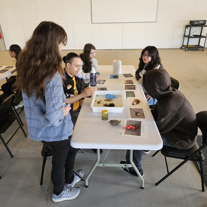Students working on a project