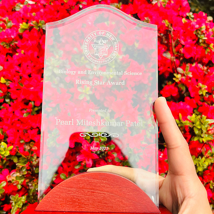 Rising Star Award