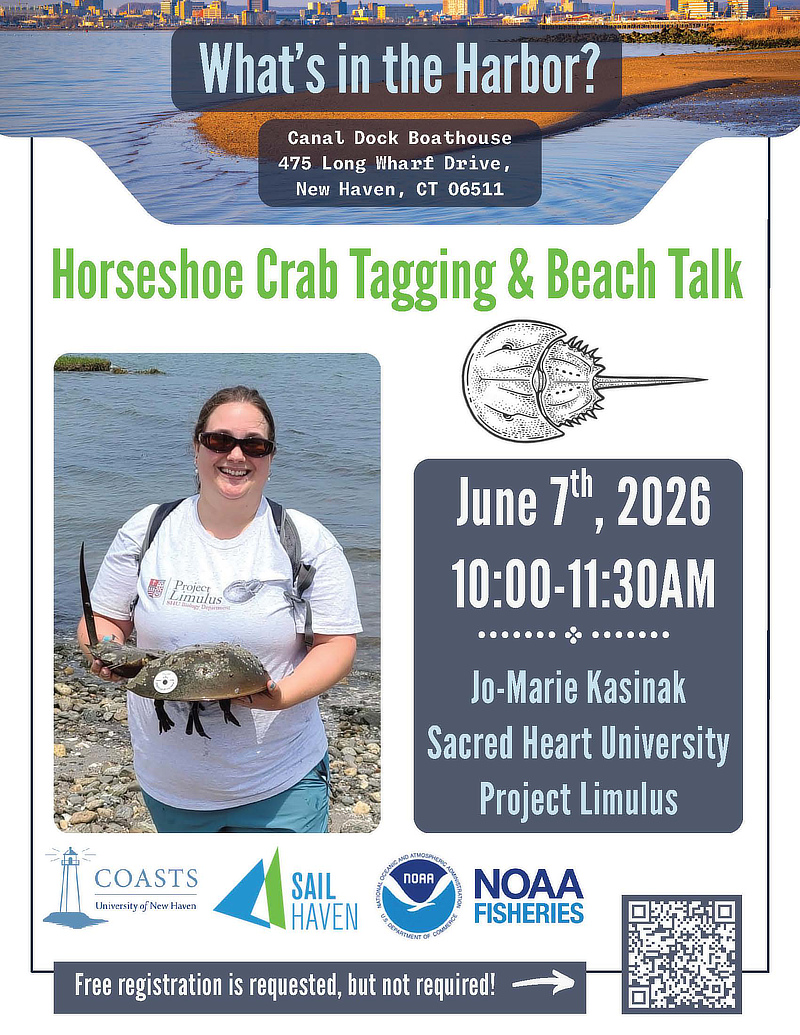 What's In the Harbor flyer