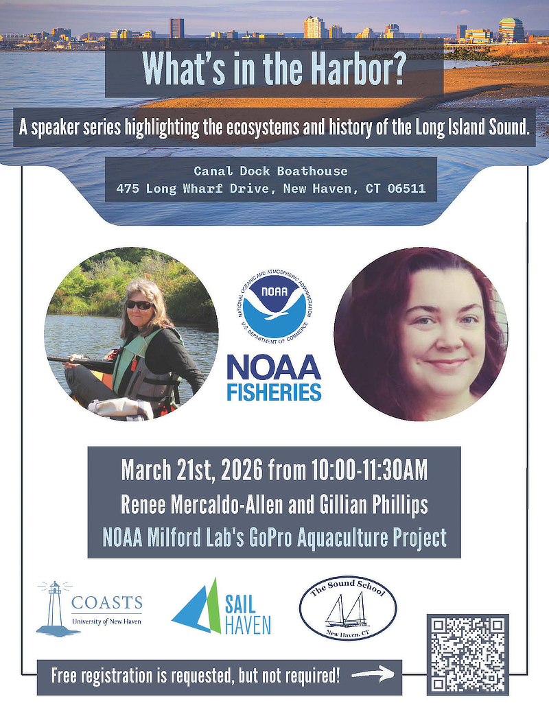 What's In the Harbor flyer