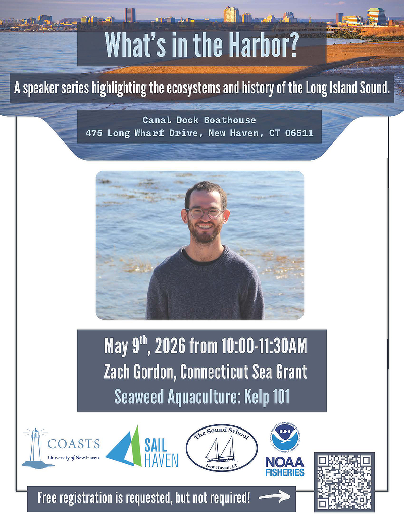 What's In the Harbor flyer