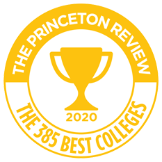 Princeton Review 2020 logo
