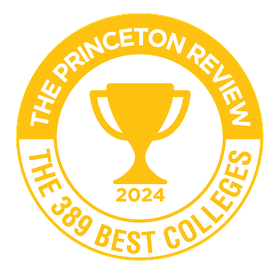 Princeton Review 2024 badge