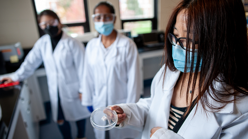 Shue Wang, Ph.D. works with students in her lab.