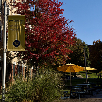 Life does not have to be planned perfectly to be worth it