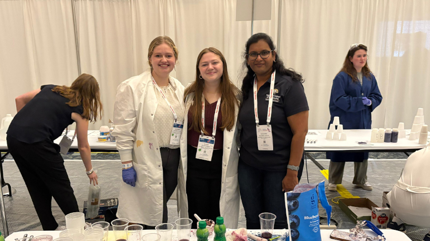 A color-changing experiment illustrates the impact of pH through natural pigments