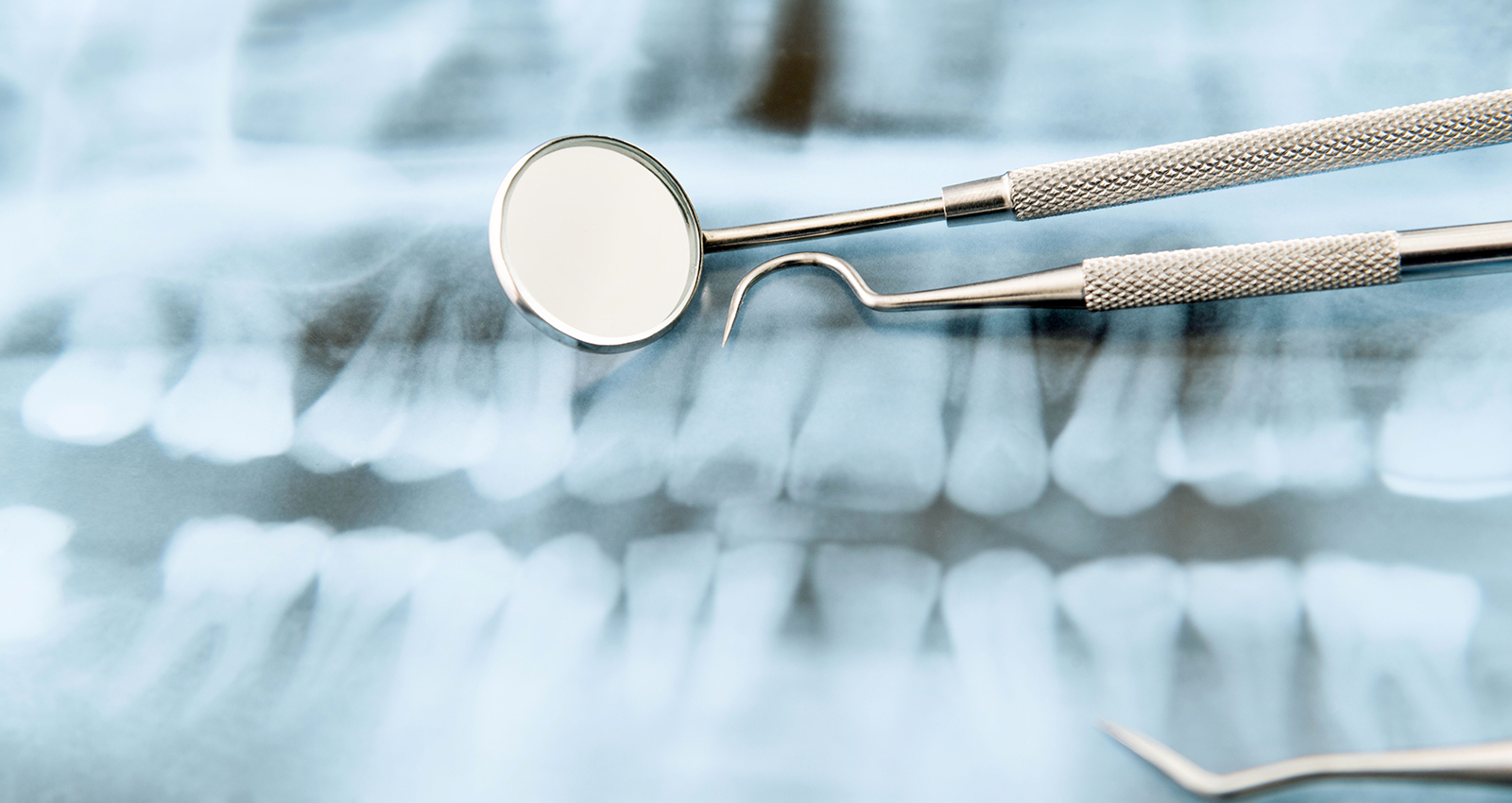 Dental Hygiene, B.S., Online Completion Program University of New Haven