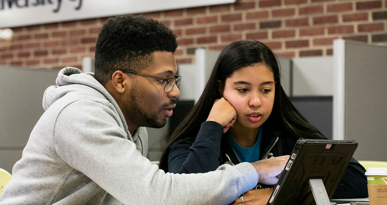 Undeclared Exploratory University Of New Haven