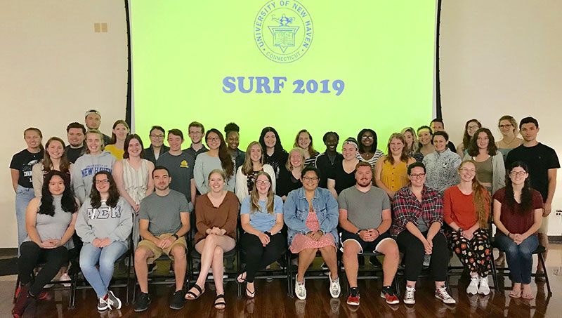 Image of SURF group