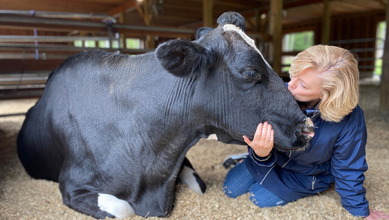 Dr. Virginia Maxwell has always felt a connection with animals. (Photo courtesy of JP Farm Animal Sanctuary)