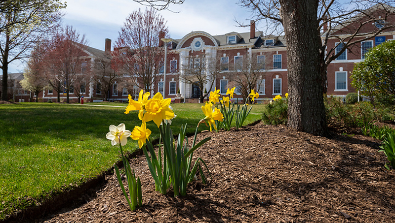 A picture of Maxcy Hall.