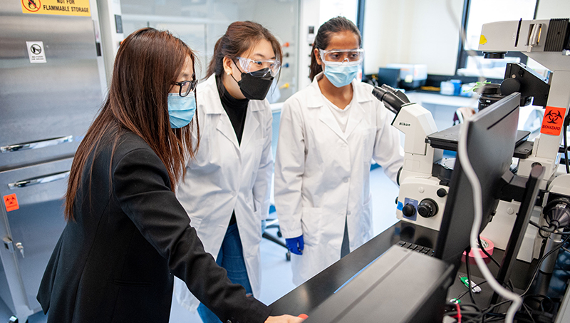 Image of Shue Wang, Ph.D. (left), and her students in the laboratory.