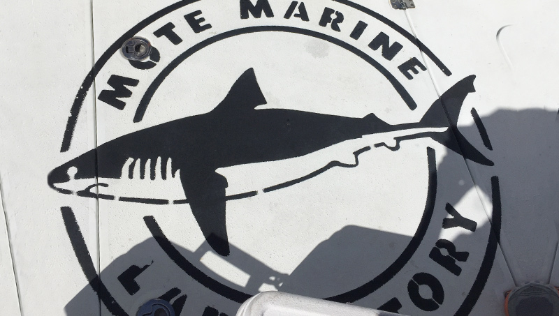 Mote Marine Laboratory Boat