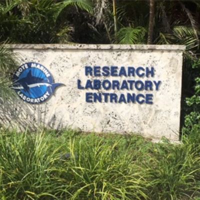 Mote Marine Laboratory in Sarasota, Florida.