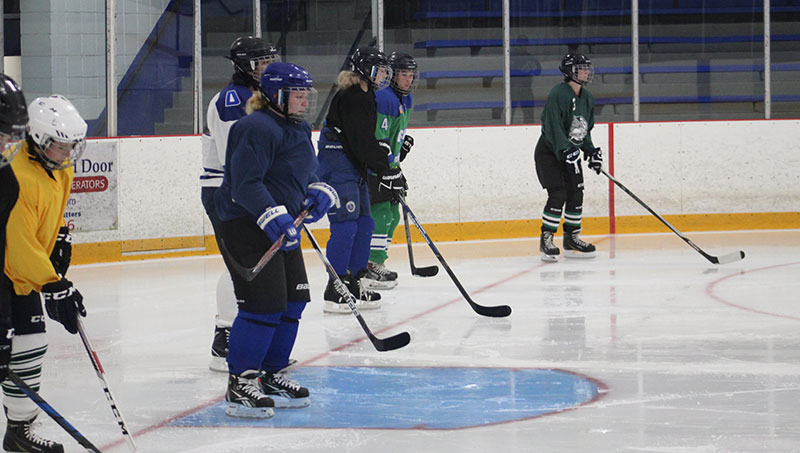 Image of the Women's Hockey Team