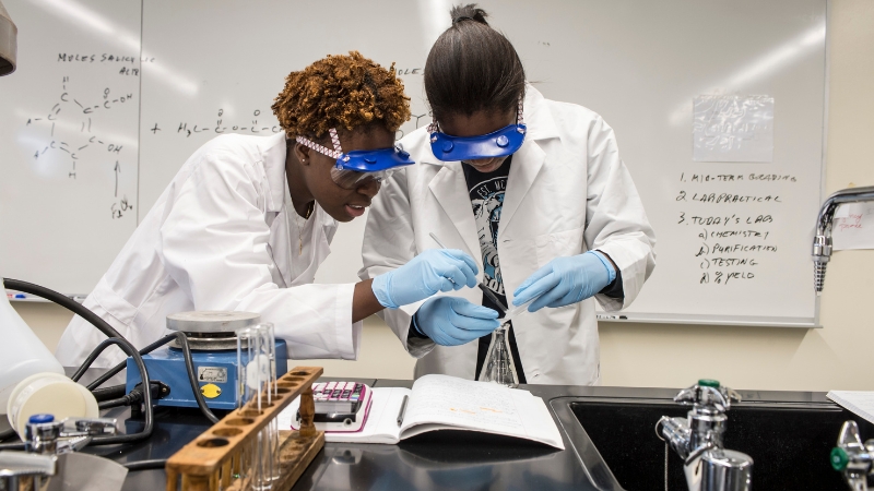 Students studying chemistry at the University of New Haven