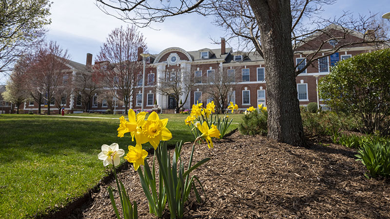University of New Haven's main campus in West Haven, Conn.