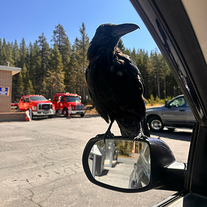 Water break -> New friend