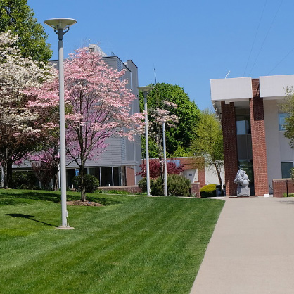 Image of the Maxcy Quad as seen from Peterson Library walkway