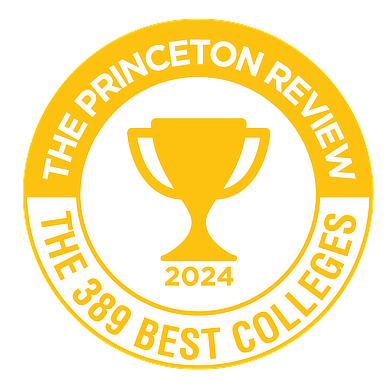 Princeton Review Badge