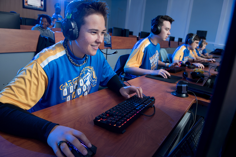 Esports and Business