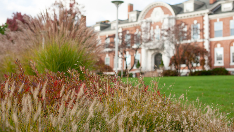 Image of Maxcy Hall at the University of New Haven.