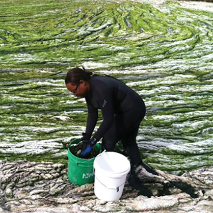 An image of Danielle Perry ‘15, an alumnus of the marine biology program. The University of New Haven is one of the top marine biology colleges.